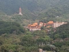 -深圳仙湖植物园