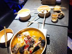 -Darling Queen·Mini·Live·House