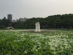 -谷咖啡·鲜花绿植花园餐厅
