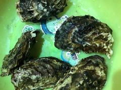 -四海鲜渔家菜(黄金海岸店)