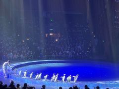 -珠海横琴长隆《卡卡虎奇遇记》