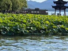 -西湖外事游船(湖滨二公园外事游船码头)