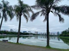 -南宁南湖公园