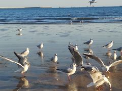-金梦海湾浴场