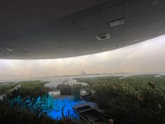 -滕州微山湖红荷湿地景区