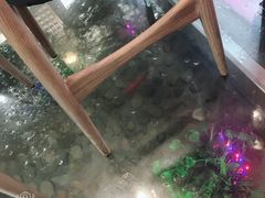 -印象江南(东栅店)