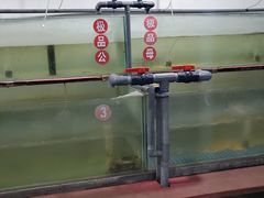 -乡乐园蟹庄·阳澄湖农家乐