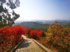 -红螺寺