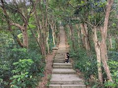 -梧桐山风景名胜区