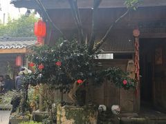 -青城甲(青城山店)