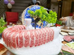 -清真军邺·金富苑肥牛(石坡街旗舰店)