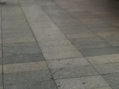 -中国福利彩票(上海周浦万达广场店)