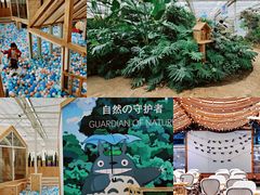 -日光山谷营地乐园