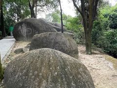-火炉山森林公园