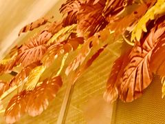 -生如夏花泰式火锅(西村黑金店)
