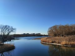 -大兴滨河森林公园