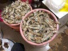 -圆蛋酒料•生腌(开元路店)