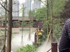 -重庆彩云湖湿地公园