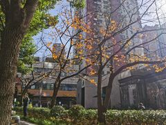 -玛格萝妮比萨屋(四平店)