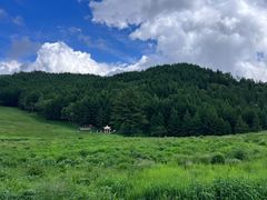 -驼梁风景区