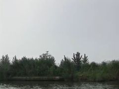 -白洋淀景区
