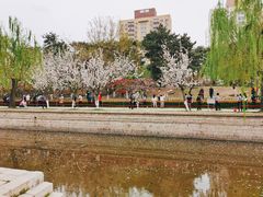 -元大都城垣遗址公园