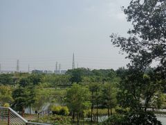 -王借岗森林公园