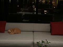 -上海璞麗酒店