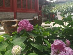 -北京市劳动人民文化宫(太庙)