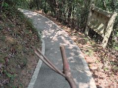 -广州市白云山风景名胜区