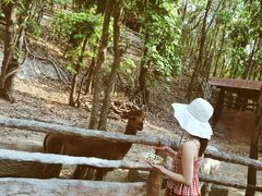 -清迈夜间动物园