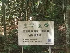 -中国科学院西双版纳热带植物园