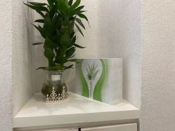 -悦色嘉丽科技美肤健康管理