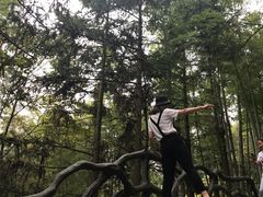 -石燕湖生态旅游景区