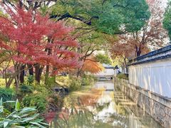 -秋霞圃