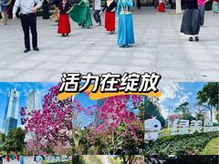 -天河体育中心