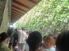 -天河潭旅游度假区