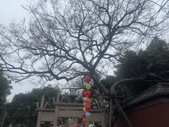 -钱王祠