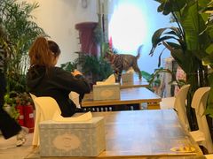-小时光咖啡馆(北锣鼓巷店)