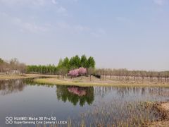 -东郊湿地公园