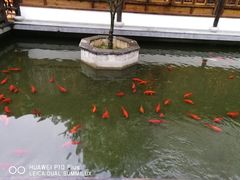 -麒麟小院·老九江菜(安平路店)