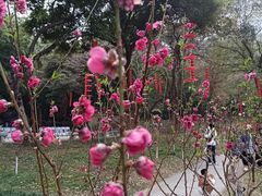 -桃花涧