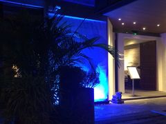 -T館·花园艺术餐厅