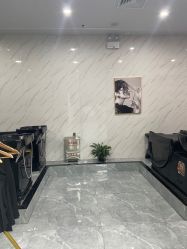 -YESIDO椰岛造型