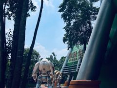 -广州长隆欢乐世界