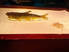-地球美食剧场