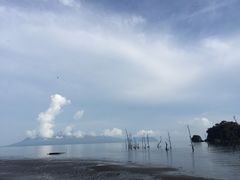 到岸码头-巴哥国家公园