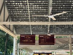 -西双版纳傣族园
