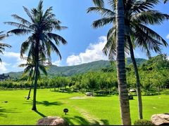 -三亚南山文化旅游区