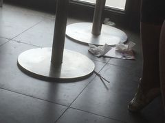 -汉堡王(保定万博广场店)